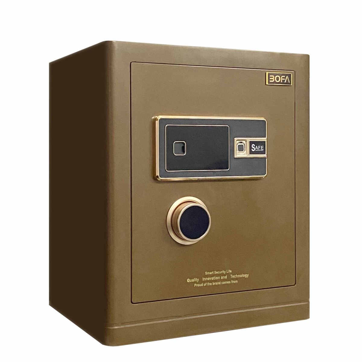 Két sắt vân tay mini Bofa BF-V-45BS2