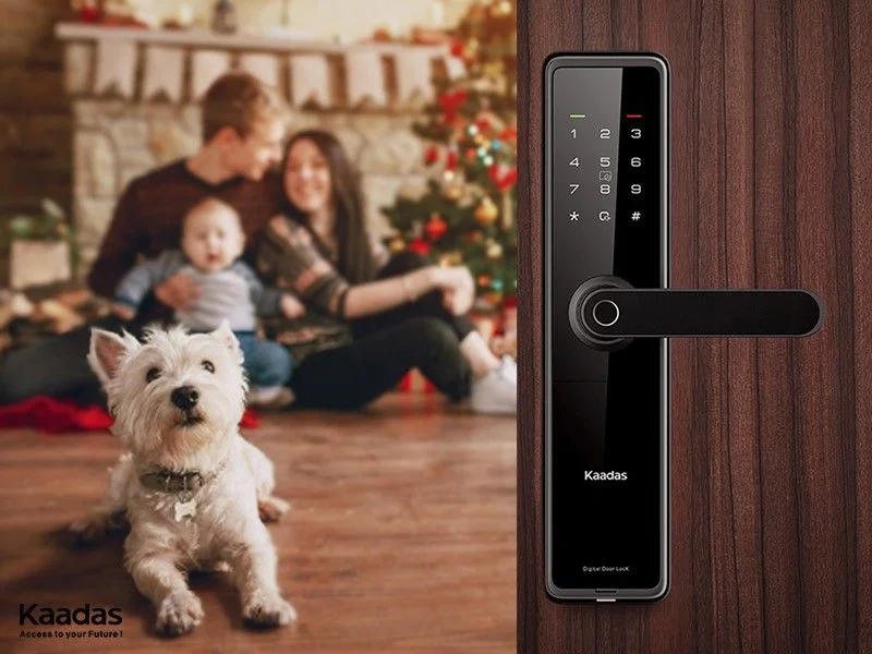 KHÓA VÂN TAY KAADAS L8- CHỐNG AN TOÀN TRẺ EM